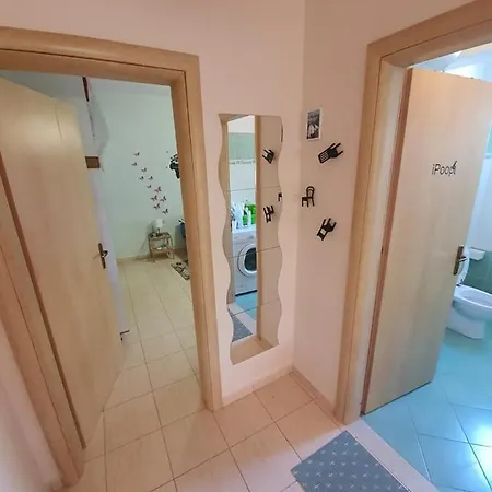 Center 1+1 Apartment